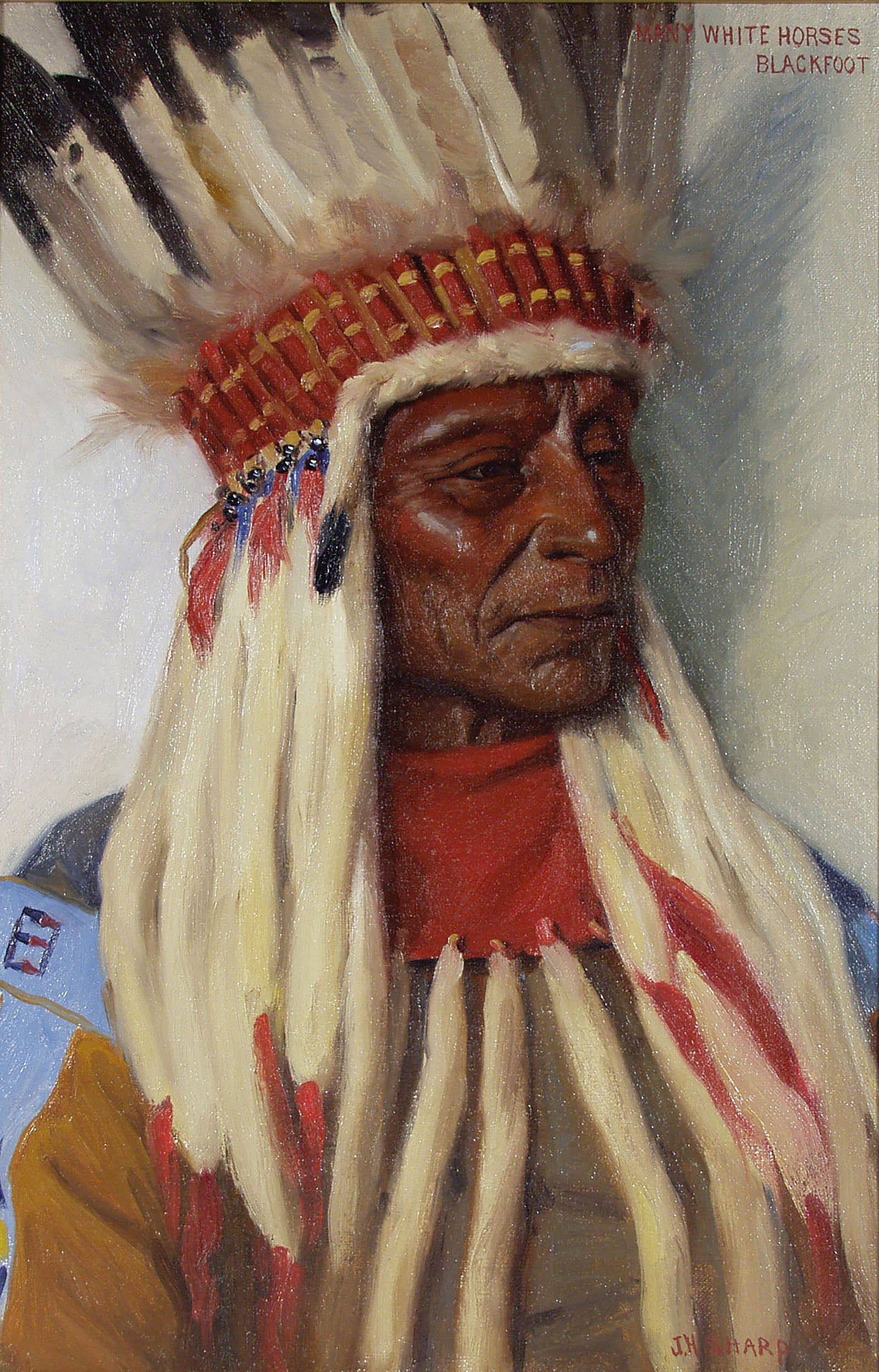 Many White Horses - Blackfoot